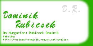 dominik rubicsek business card